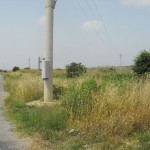 798011629DSCF0001tn