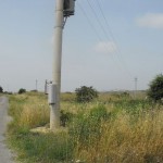 798011629DSCF0002tn