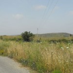 798011629DSCF0004tn