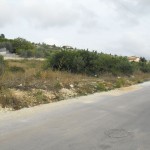 720921358DSCF0003tn