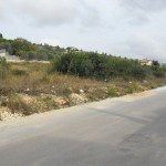 720921358DSCF0006tn