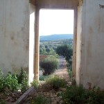 851877154tn_100_3900