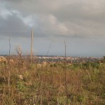 851877154tn_100_3912