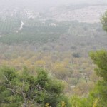 98623384DSCF0082tn