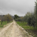 98623384DSCF0086tn