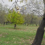 98623384DSCF0091tn