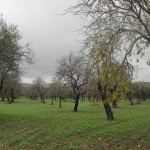 98623384DSCF0097tn