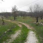 98623384DSCF0099tn